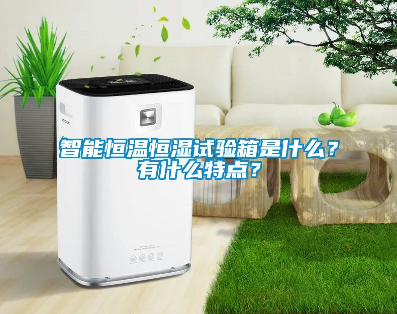 智能恒溫恒濕試驗(yàn)箱是什么？有什么特點(diǎn)？