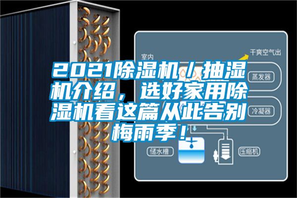 2021除濕機／抽濕機介紹，選好家用除濕機看這篇從此告別梅雨季！